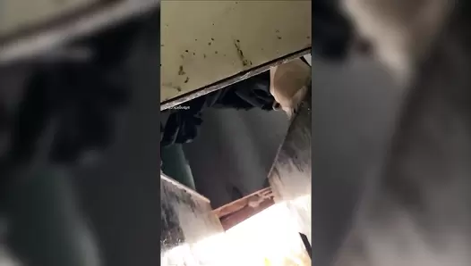 Hospital Toilet Special 7