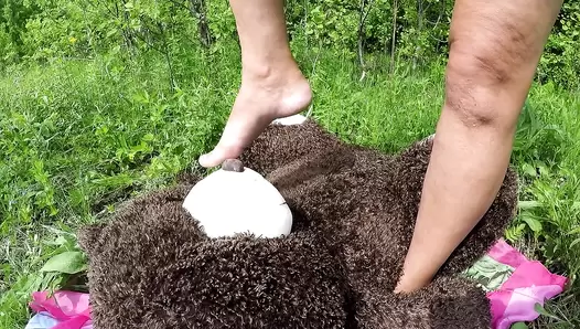 Scatdesire - Pervert Teddy (Mr. Teddy in The Woods)