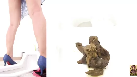 SR029 - 2 Office Ladies Toilet Scat