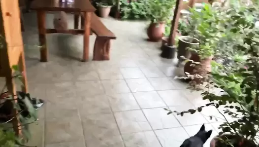 VeganLinda - Best of CRAZY Poo & Pee Canary islands (PART II)