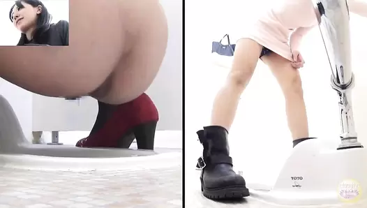 SL-024 05 Embarrassing talks during excretion in adjoining toilet cabins. Women revealing their excremental secrets