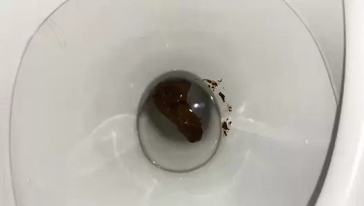 AliceTop - I Poop on my Hand