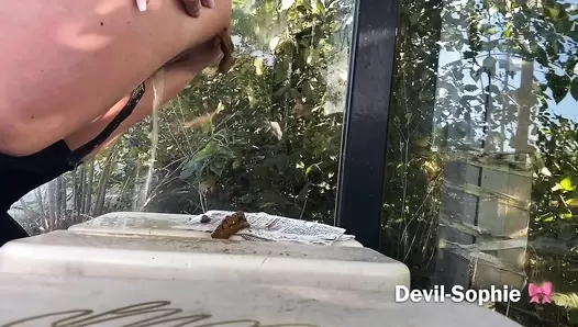 Devil Sophie - Violently Public on the main street shit on the bus stop seat - I was over