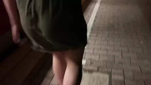 Devil Sophie - Public shitting in the train and pissing
