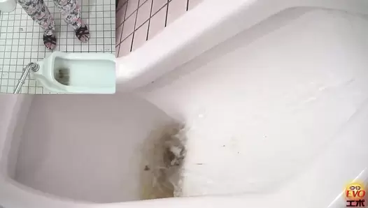 EE-022 03 Peeping on how feces piling up in the toilet bowl. WC vouyerism