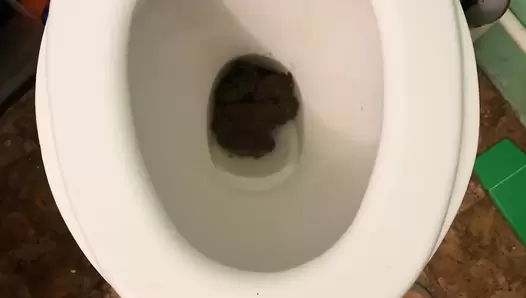 Lily - Good portion of hot shit