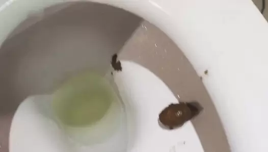 NaomiBobba - Toilet fun, play with oil, hard poop, missed the bowl