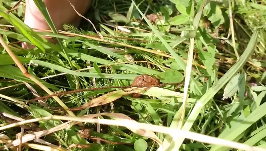 Brown wife - Games with shit in the field