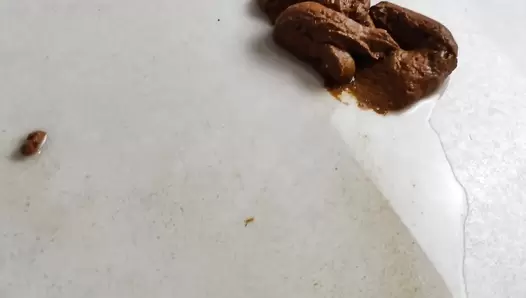 AinaraX - Long brown anaconda