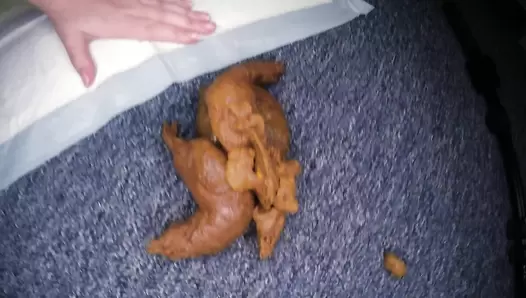 LoveRachelle - Oops! I Shit The Carpet