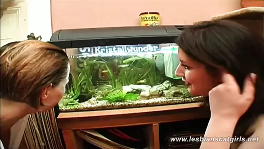 Susan-Tiffany Lesbian Shit Girls