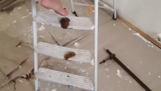 Azzurra Scat - Shitting On Top Of The Ladder