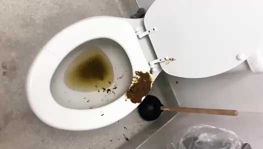 Brownsensations - Destroying restrooms VOL 1