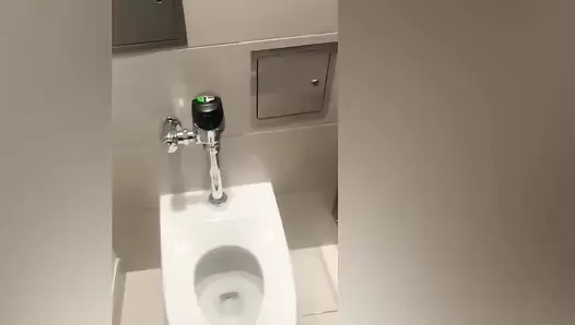 Brownsensations - Destroying restrooms VOL 1