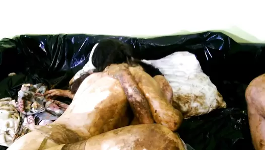 Astracelestial Most Epic Scat Video Ever. Part 9