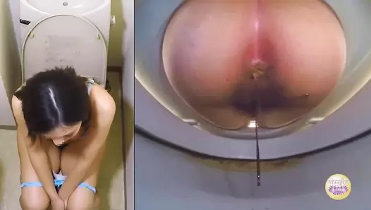 SL-231 Part 3