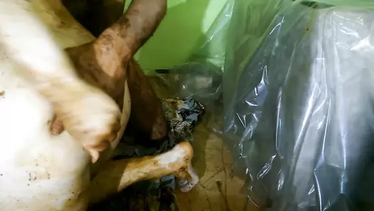 AstraCelestial Margareth’s SuperHot First Scat Experience. Part 2