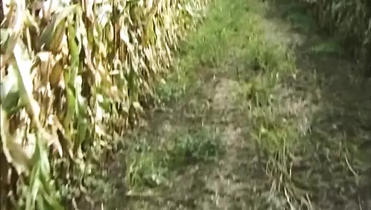 Sperrgebiet Erotik 19