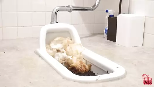 FF-167 03 Office Toilet Tank Clogged And Overfilled With Poo