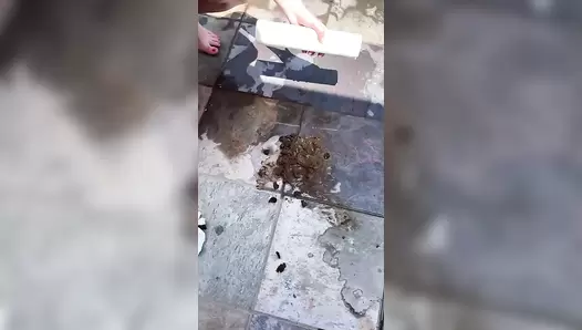 TrixieSquirts - Molly Shits on my Feet!