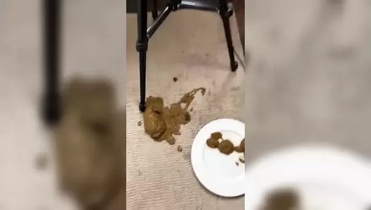 VibeWithMolly - Messy poop on plate