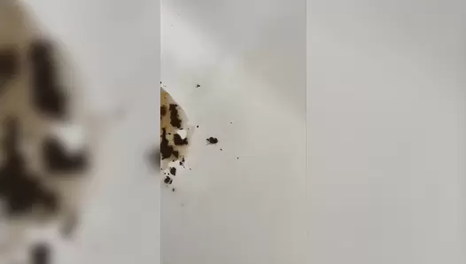 VibeWithMolly - Mexico diarrhea!
