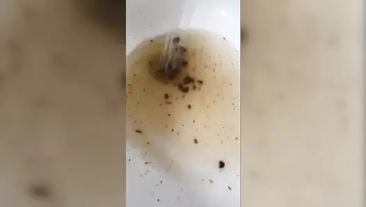 VibeWithMolly - Mexico diarrhea!