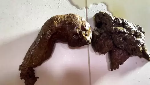 Thefartbabes - Intense Orgasm Of Giant Shit