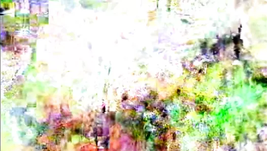 Kaviar Amateur 28