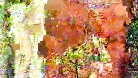 Kaviar Amateur 28