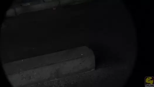 PM102 02 Spycam Caught Women Shitting Outdoors. Behaviour Harassment Sanctions!