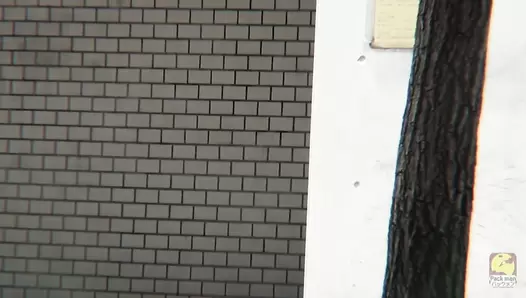 PM102 01 Spycam Caught Women Shitting Outdoors. Behaviour Harassment Sanctions!