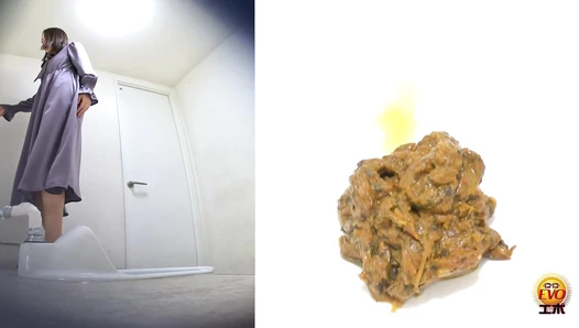 EE-780 06 6 Cameras toilet voyeur: beautiful women pooping.