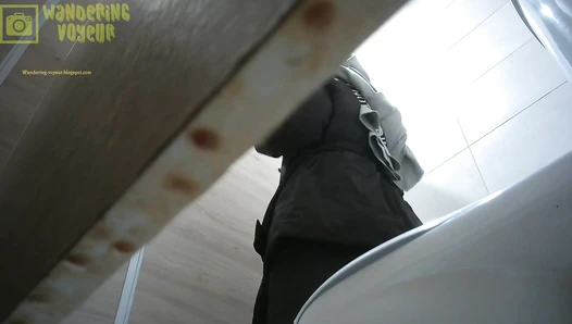Mall Toilet WC 2023 (029K)