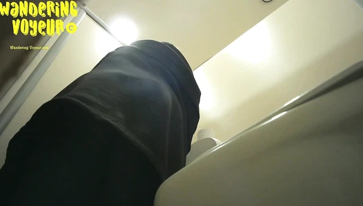 Mall Toilet WC 2023 (390K)