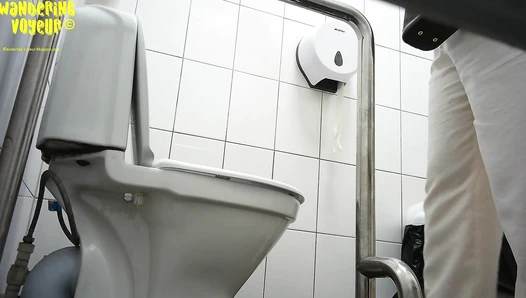 Public Toilet 2023 (184K)