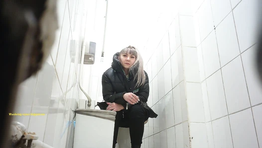 Shopping Centre Toilet 2022 (157K)