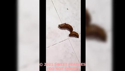 Sweet_Peaches - POO CELEBRATION (SWEET-PEACHES)