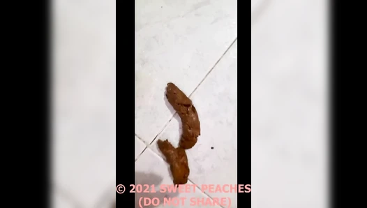 Sweet_Peaches - POO CELEBRATION (SWEET-PEACHES)