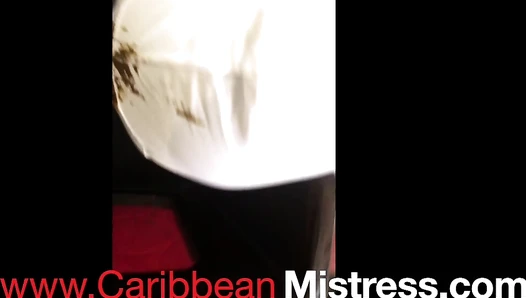 MistressMystique - Southern Pride under Mistress Mystique’s Shit