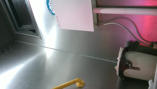The Normal College Toilet