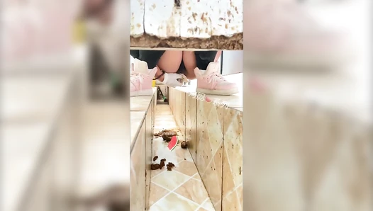 China Toilet Voyeur 1789