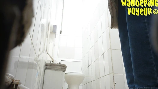 Shopping Centre Toilet 2022 (212K)