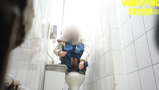Shopping Centre Toilet 2022 (212K)