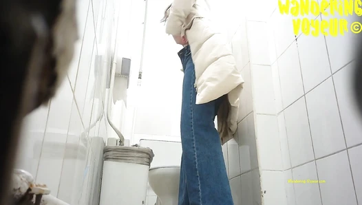 Shopping Centre Toilet 2022 (212K)