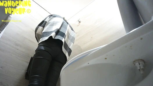 Mall Toilet WC (484K)