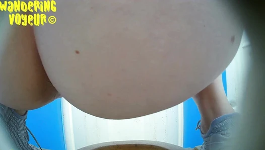 New Bio Toilet  (44K)