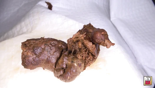 JG-572 03 It is embarrassing, but please witness the birth moment of my poop. VOL. 3