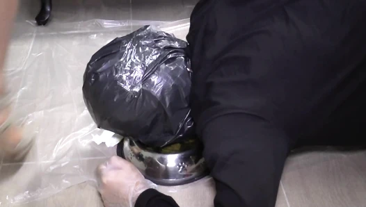 padronagaia - Mistress Gaia - Human toilet training