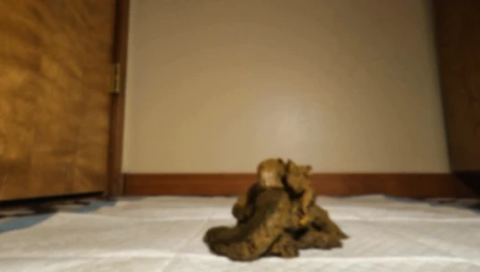 gassy - ur a worship slave to my dirty asshole